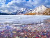Colourful Rocks At A Frozen Driftwood Beach