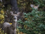 Just let her move on bro