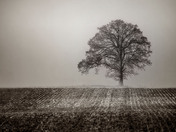 A Seasons Passing