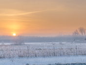 Winter scene 