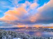 Frozen cotton candy