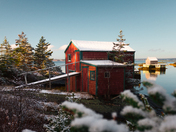 Fresh Winter Morning