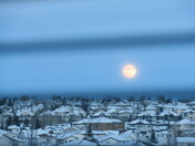 Peeking Through the Blinds