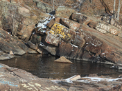 A long the Petawawa River 
