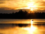 Paddling Across Sunset Reflections