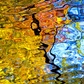 Previous upload