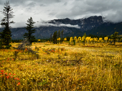 Autumn rain 