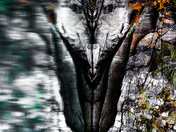 Face in the lake 