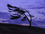 The Recline, Killbear