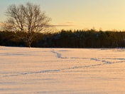 Early snow sunset