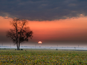 Sunrise 