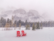 Heavy Snowfall In The Banff Mountains