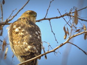 Always looking over the shoulder