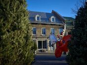 Moose on the loose in Old Montreal.