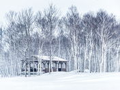 Winter at the Old Townsite