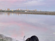 Toronto Water Front
