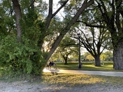 Toronto Water Front