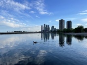 Toronto Water Front
