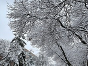 UofT winter