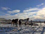 Shortest Day of the Year