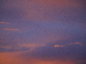 Variety of Sunsets 