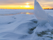 Ice shark 
