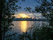 Last Bit of Sunlight