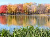 Autumn Walk at Beaver Lake