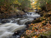 Waterfall in Autumn