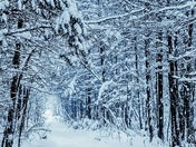 A trail like no other.