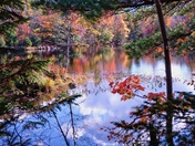 Fall