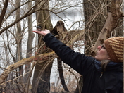 Chickadee eats apple.