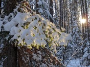 2022 already shining bright