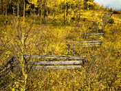 Golden fence 