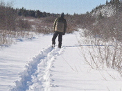 Snowshoeing