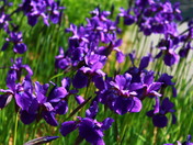 Mother nature stands still