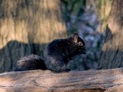 Late winter afternoon on the Humber
