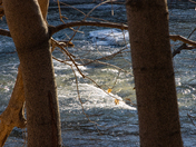 Late winter afternoon on the Humber