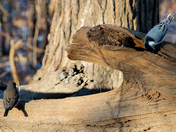 Late winter afternoon on the Humber