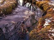 Wintery Creek 