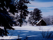 Frosty Morning