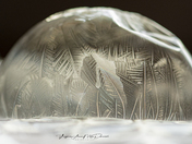 Frozen Bubbles