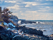 Winter Waves 