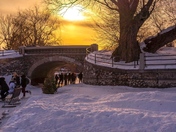 Sunset and night Skate