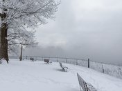 Hoar Frost on Bate Island in Ottawa