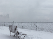 Hoar Frost on Bate Island in Ottawa