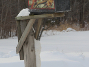 Mail 