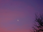 Morning Moon