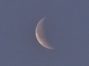 Morning Crescent Moon