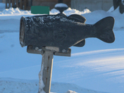 Mail box Gone fishing 
